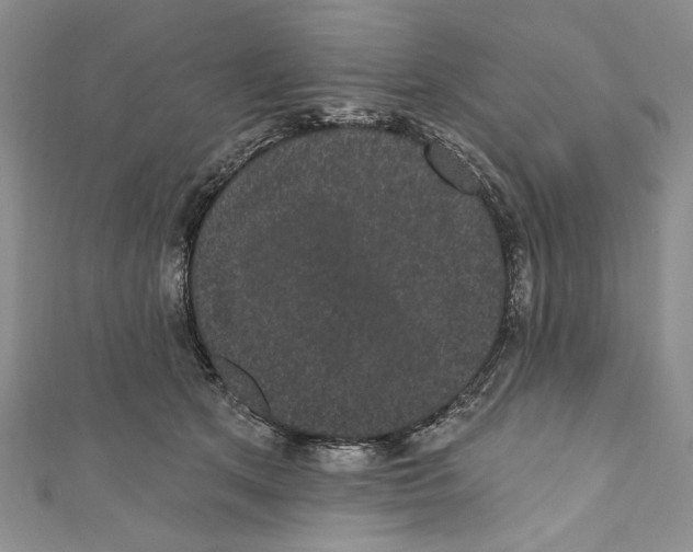 X0000110960513200907171652