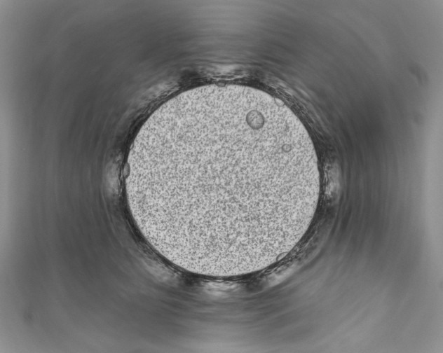 X0000110960515200907171652