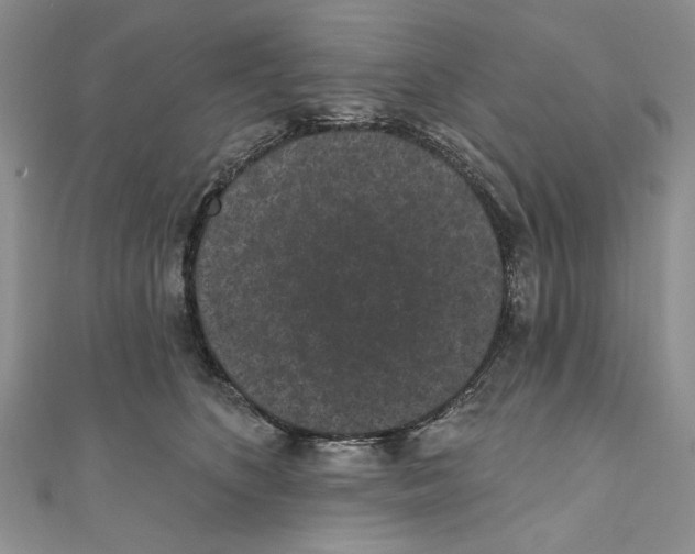 X0000110960516200907171652