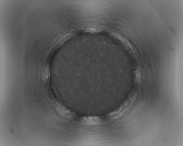 X0000110960517200907171652