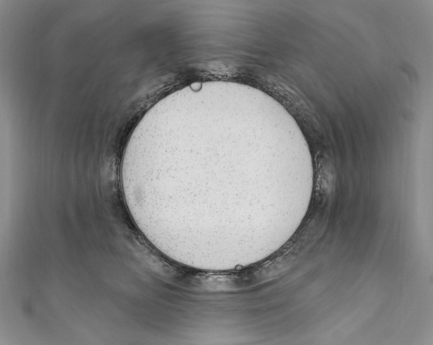 X0000110960518200907171652