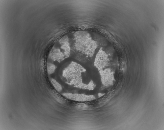 X0000110960519200907171652