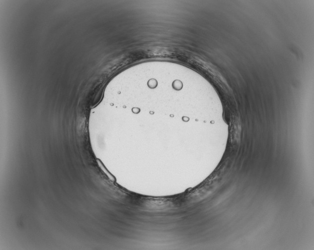 X0000110960521200907171652