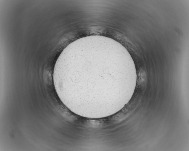 X0000110960522200907171652