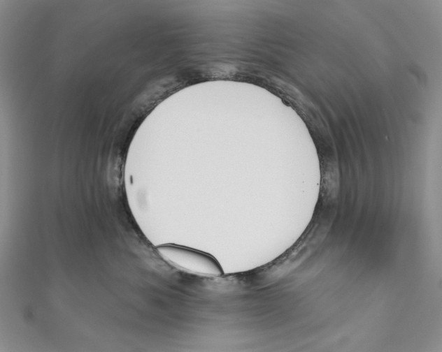 X0000110960525200907171652