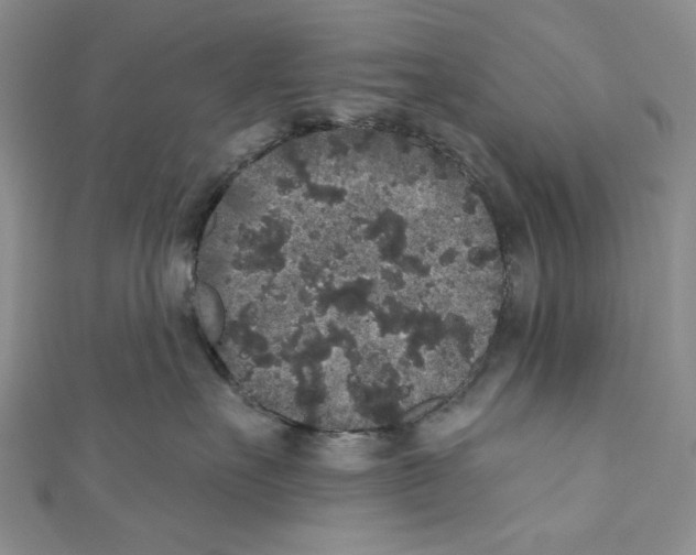 X0000110960527200907171652