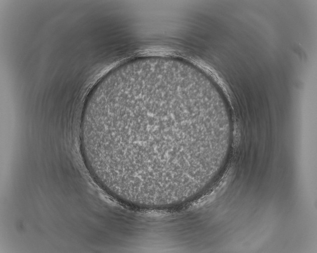 X0000110960529200907171651