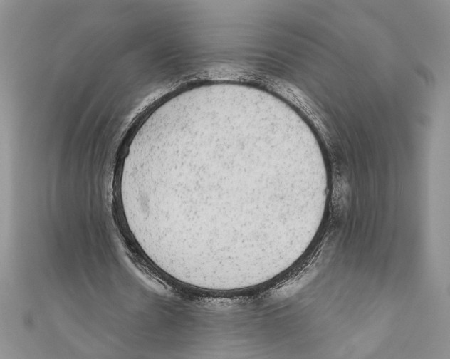 X0000110960530200907171651