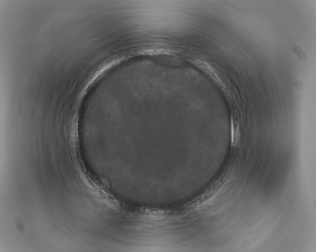 X0000110960531200907171651
