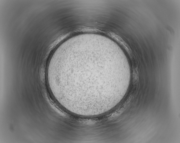 X0000110960533200907171651