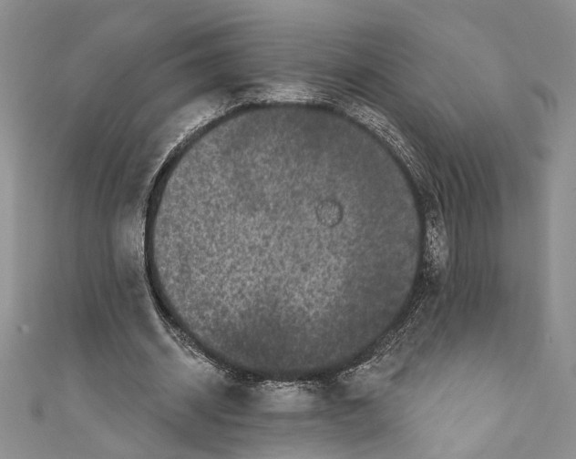 X0000110960534200907171651