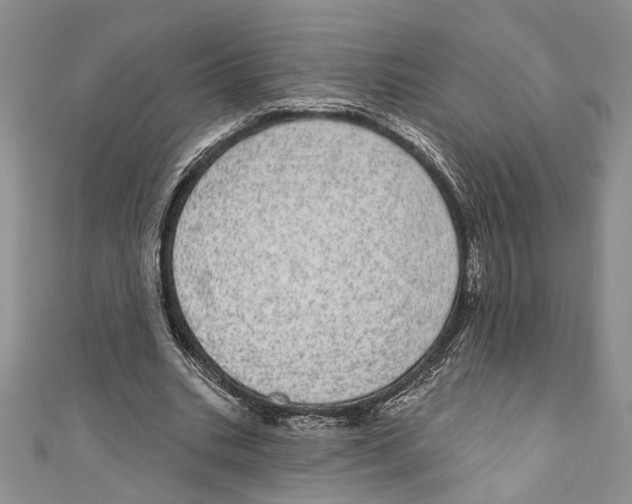 X0000110960535200907171651