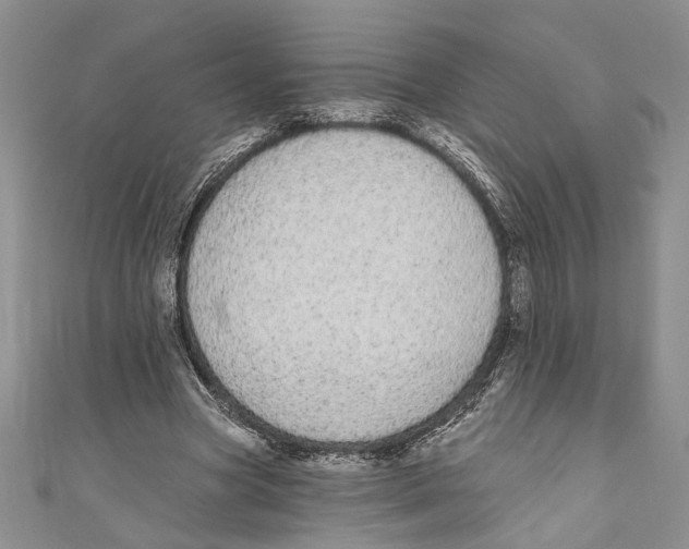 X0000110960537200907171651