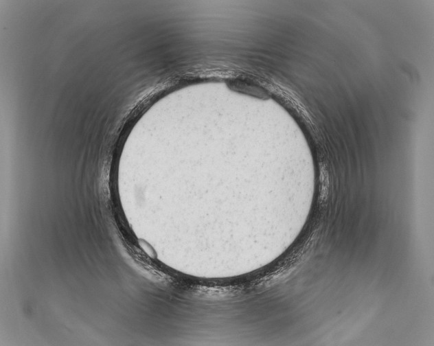 X0000110960538200907171651