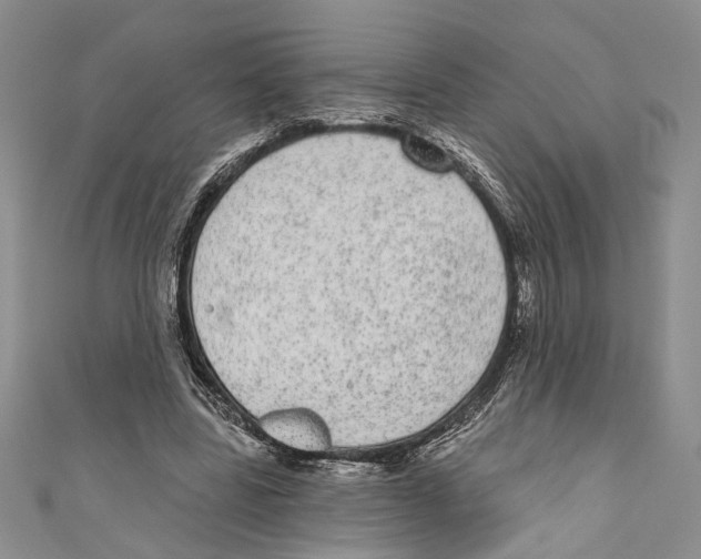 X0000110960539200907171651