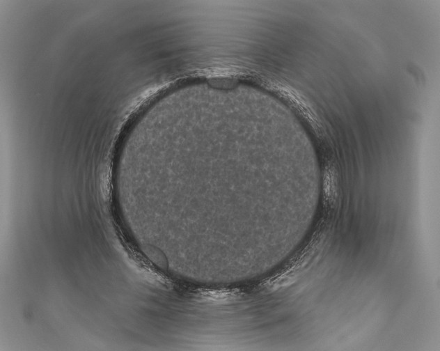 X0000110960540200907171651