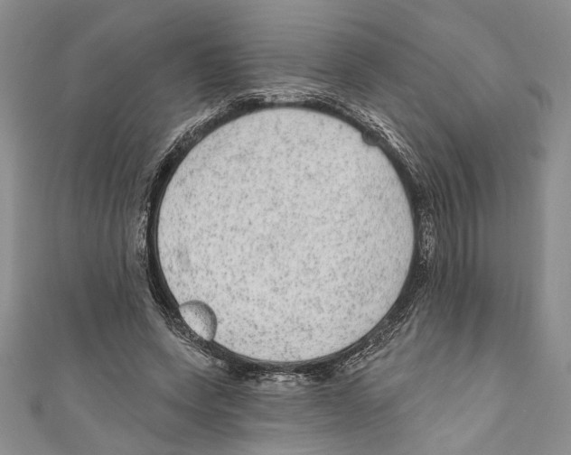 X0000110960543200907171651