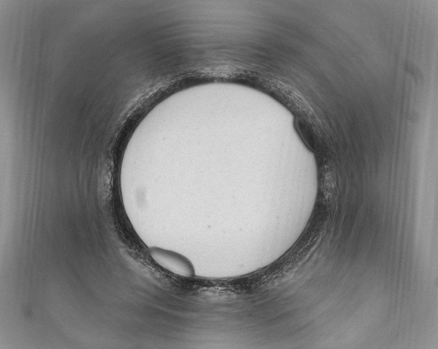 X0000110960544200907171651