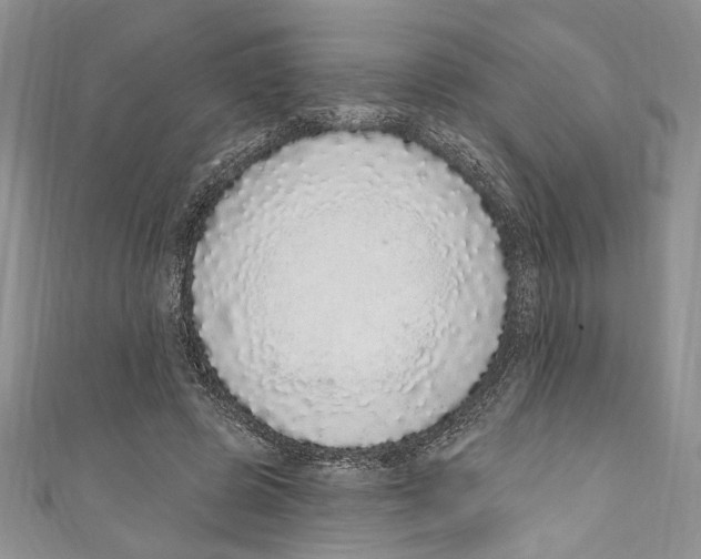 X0000110960545200907171651