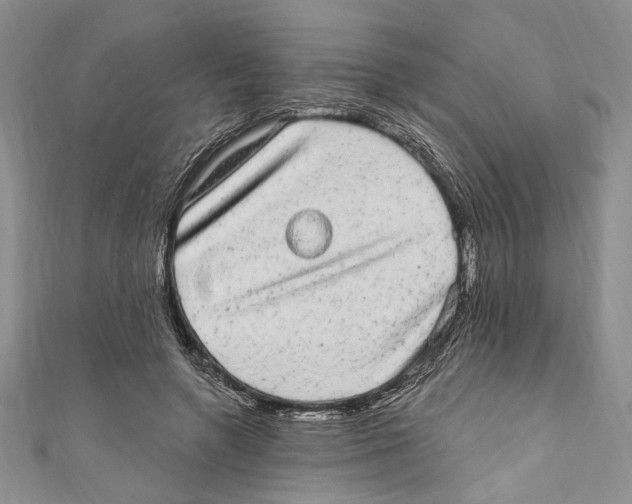 X0000110960546200907171651
