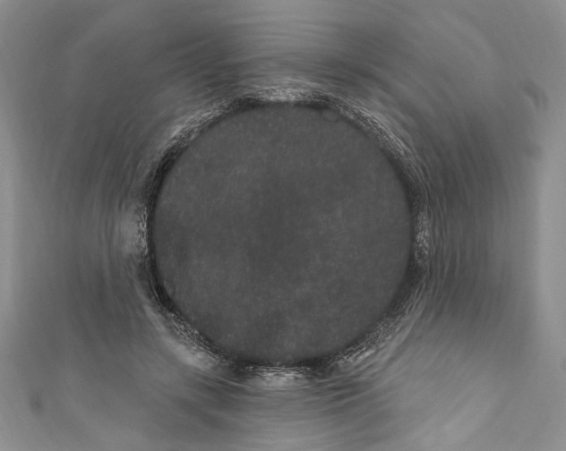 X0000110960547200907171651