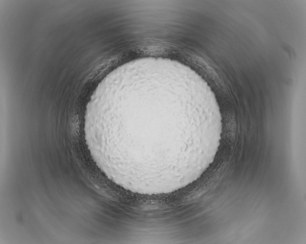 X0000110960549200907171652