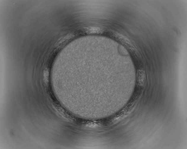 X0000110960550200907171652