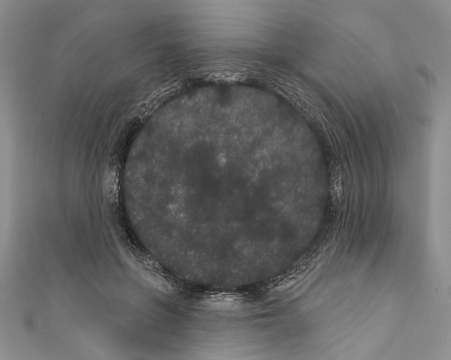 X0000110960551200907171652