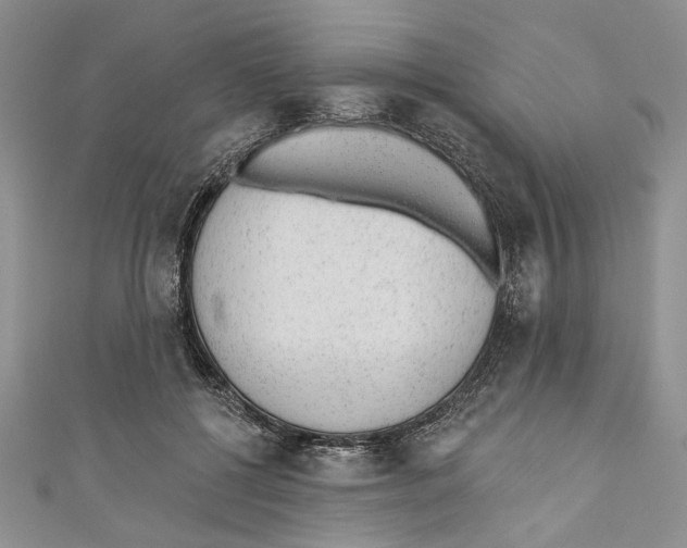 X0000110960552200907171652