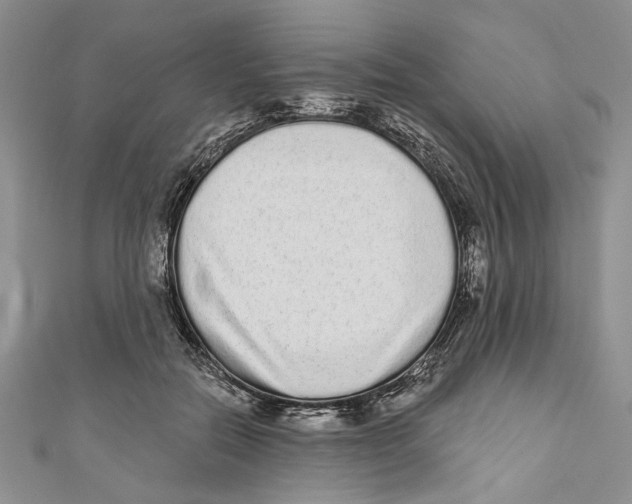 X0000110960554200907171652