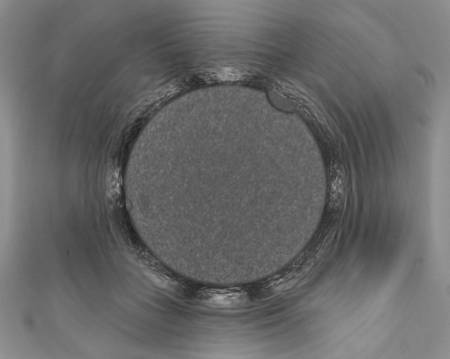 X0000110960555200907171652
