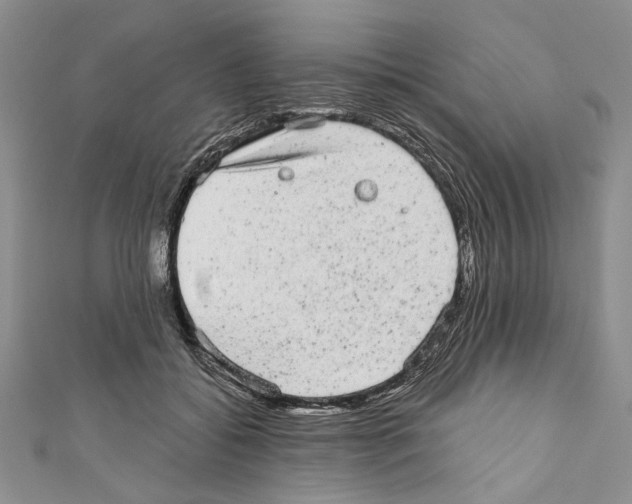 X0000110960556200907171652