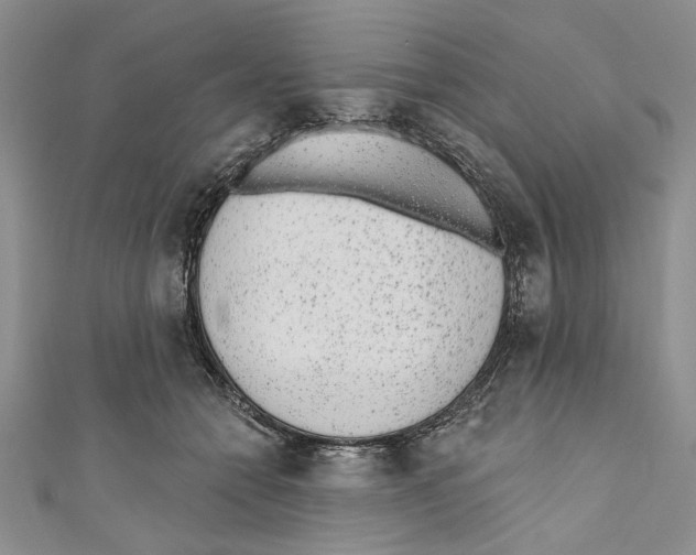 X0000110960558200907171652