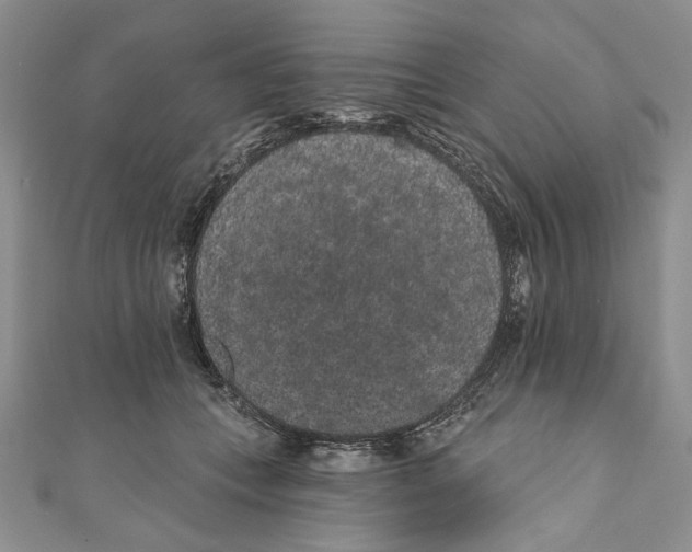 X0000110960559200907171652