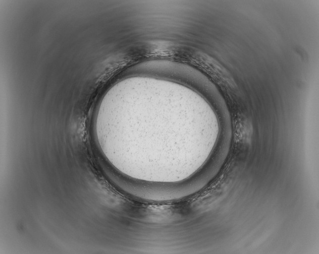 X0000110960560200907171652