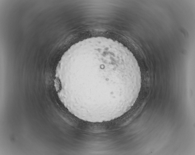 X0000110960561200907171652