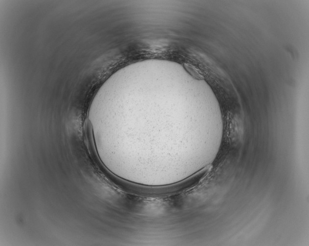 X0000110960562200907171652