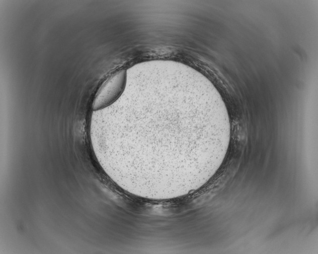 X0000110960564200907171652