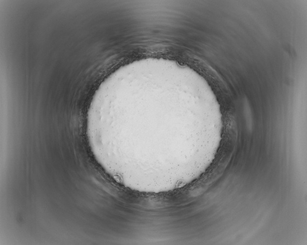 X0000110960565200907171652