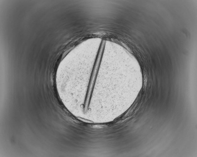 X0000110960566200907171652
