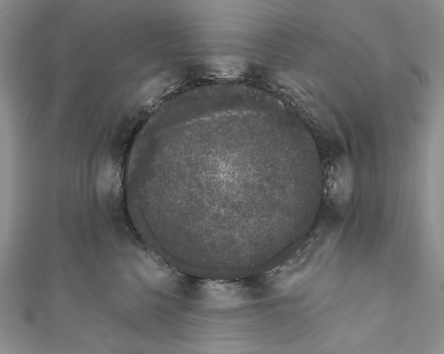X0000110960568200907171652