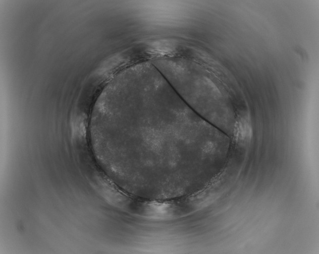 X0000110960570200907171652