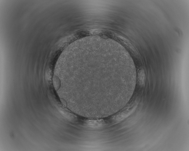 X0000110960571200907171652