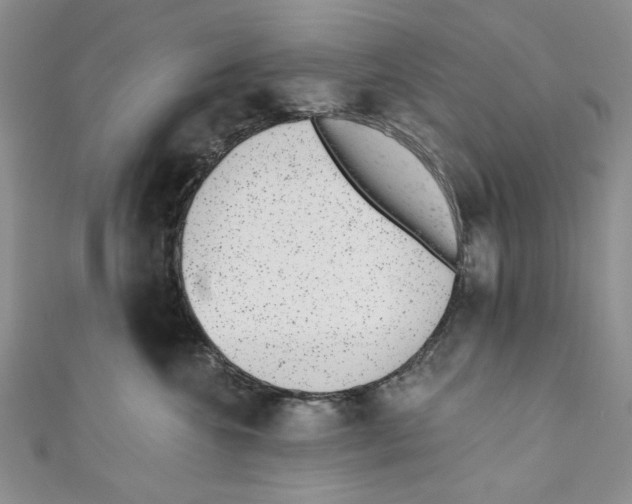 X0000110960572200907171652