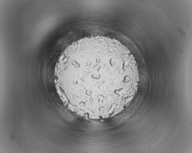 X0000110960573200907171652