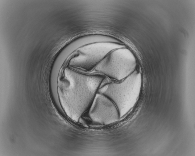 X0000110960577200907171651