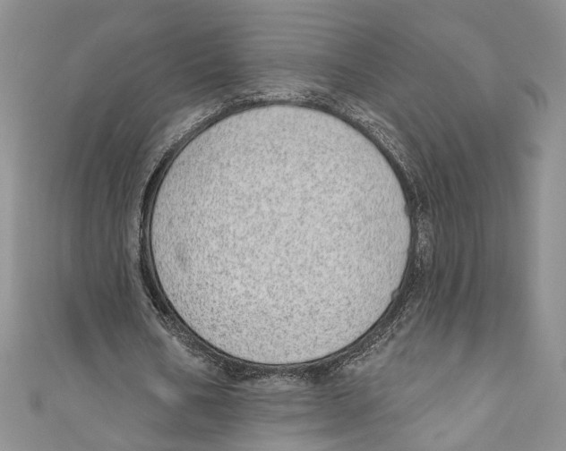 X0000110960578200907171651