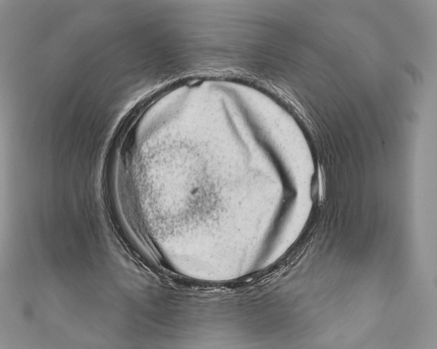 X0000110960579200907171651