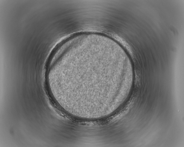 X0000110960580200907171651
