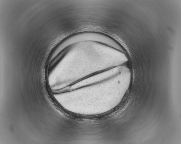 X0000110960581200907171651